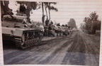 [Pz.Kpfw.III Ausf.D] Pz.Rgt.1, #243 (001){a}